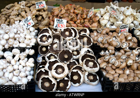 Pilze, Ingwer, Schalotten und Knoblauch zum Verkauf im Borough Market, London Stockfoto