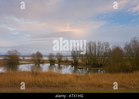 Naturschutzgebiet in Lac du Der Chantecocq in der Nähe von St. Dizier East France Stockfoto