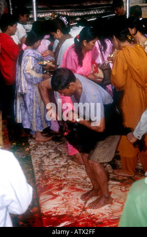 BUFFALO DASINKALI OPFER KHATMANDU TAL NEPAL JEDE WOCHE TAUSENDE VON ZIEGEN UND HÜHNER WERDEN IN DIESEM KLEINEN TEMPEL, KALI DIE HINDUISTISCHE GÖTTIN DER ZERSTÖRUNG PH DAN WEIß ZU BESCHWICHTIGEN GEOPFERT Stockfoto