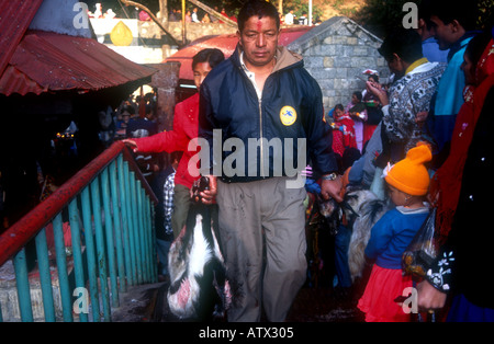 BUFFALO DASINKALI OPFER KHATMANDU TAL NEPAL JEDE WOCHE TAUSENDE VON ZIEGEN UND HÜHNER WERDEN IN DIESEM KLEINEN TEMPEL, KALI DIE HINDUISTISCHE GÖTTIN DER ZERSTÖRUNG PH DAN WEIß ZU BESCHWICHTIGEN GEOPFERT Stockfoto