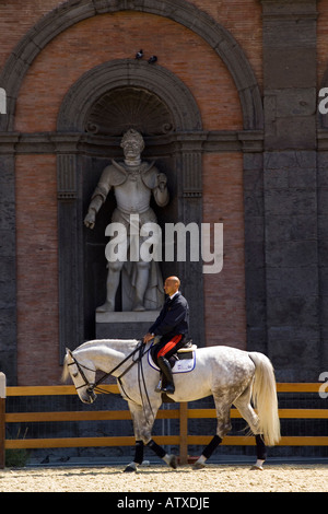 Reiten zeigen Piazza del Plebiscito-Neapel-Kampanien-Italien Stockfoto