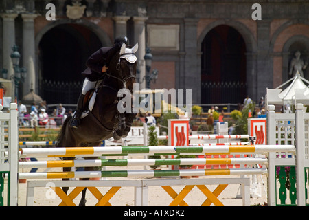 Reiten zeigen Piazza del Plebiscito-Neapel-Kampanien-Italien Stockfoto