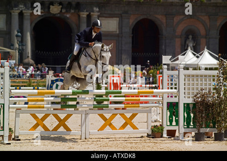 Reiten zeigen Piazza del Plebiscito-Neapel-Kampanien-Italien Stockfoto