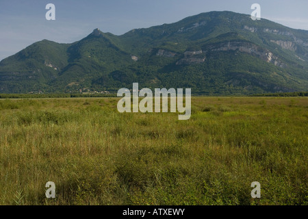 Natur Reservat Marais de Lavours nördlich von Aix Les Bains Frankreich Fen Moor und Wald Blick auf Moor-Bereich Stockfoto