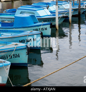 Mieten Sie Boote aufgereiht. Stockfoto