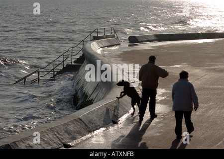 Walton auf die Naze, paar, Mann und Frau, die einen Hund entlang der Strandpromenade spazieren gehen, wo das Meer Verteidigung Wand Kurven Stockfoto