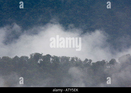 Nebelwald, Blick vom Bellavista in den westlichen Anden, Ecuador. Stockfoto