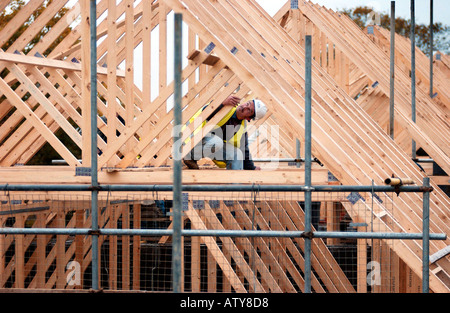 Bis befindet sich auf dem Dach eines der 32 neuen gebaut Knowle Village in der Nähe von Fareham, Hampshire Stockfoto