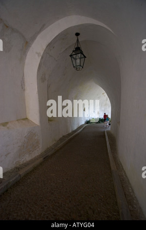 Tunnel, Palácido Nacional da Pena Sintra Portugal Stockfoto