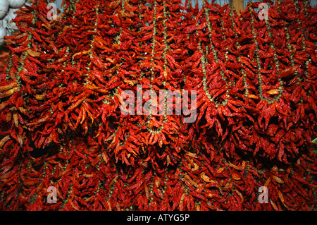 Red Chilli peppers Stockfoto