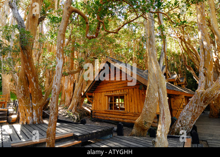 Alte Hütte im Wald, Nationalpark Los Mapuches, Peninsula de Quetrihue, Neuquen, Argentinien, Südamerika Stockfoto