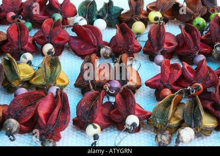 Leuchtend bunte Schmuck mit Ohrringe von Früchten und Samen in Straßenmarkt, Ipanema, Rio De Janeiro, Brasilien, Südamerika Stockfoto