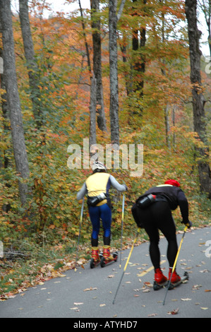 Ski-Praxis. Paar Ski ohne Schnee auf einem Pfad durch den Wald im Herbst, Mt Tremblent, Kanada Stockfoto