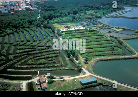 Luftaufnahme von Rosolina Veneto Italien Stockfoto
