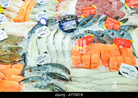 Frischer Fisch zum Verkauf auf einer typischen Supermarkt-Theke in England Stockfoto