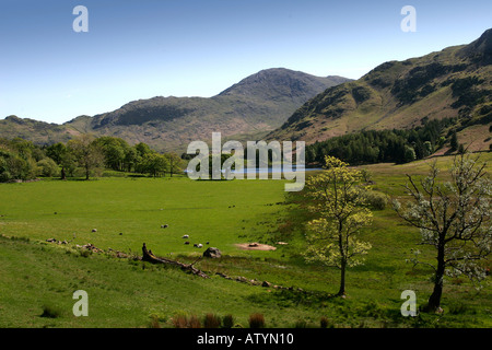 Blake Rigg & Pferd Crag mit Blea Tarn im englischen Lake District Stockfoto