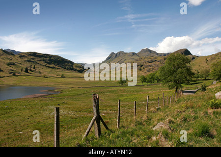 Langdale Pikes und Harrisons scheut im englischen Lake District Stockfoto