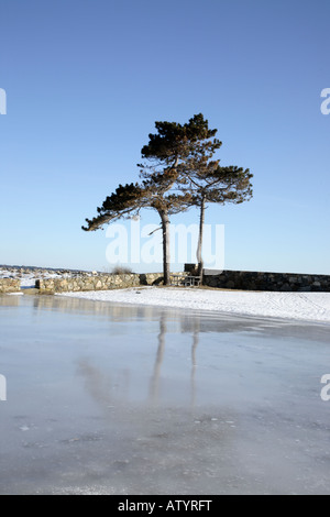 Odiorne Point State Park in den Wintermonaten befindet sich in Rye New Hampshire USA ist Teil von Neu-England Stockfoto