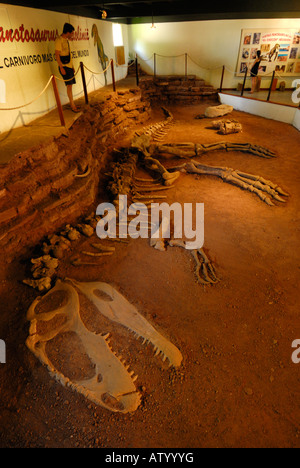 Dinosaurier in Villa El Chocón, Neuquen, Argentinien, Patagonien, Südamerika Stockfoto