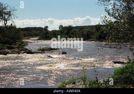 Der Fluss Mara im Vollstrom Masai Mara Nationalpark Kenia Stockfoto