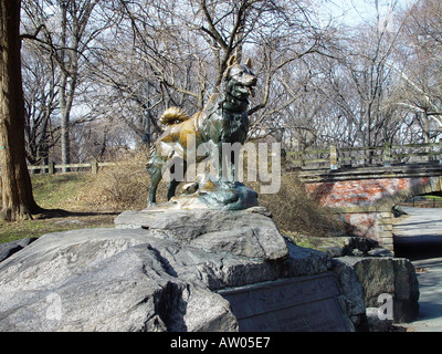 Skulptur des Siberian Husky Hund Balto im Central Park Stockfoto