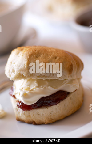 Scones mit Marmelade und Clotted Cream auf Platte Stockfoto