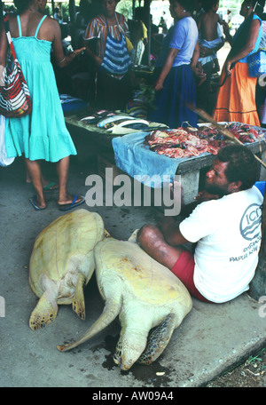 Schildkröte im Koki Markt Port Moresby, Papua-Neu-Guinea Stockfoto