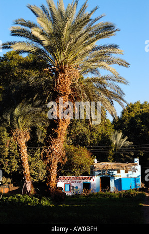 Coffee Shop in der traditionellen lokalen Haus mit Palmen im Vordergrund auf Elephantine Island in der Nähe von Nubian Village, Assuan, Ägypten Stockfoto