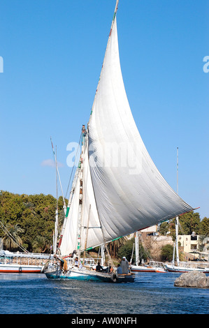 Traditionelle d. h. nicht touristische Feluke oder Segelboot in vollen Segeln die Passage entlang des Nil in Assuan, Ägypten Stockfoto