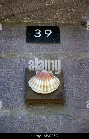 Jakobsmuschel Muschel Symbol des Apostels Jakobus von Compostela Stockfoto