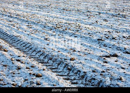 Traktor-Reifenspuren auf einem frostigen Feld im Winter.  Oxfordshire, England Stockfoto