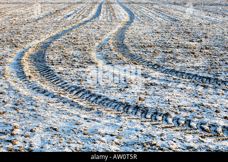 Traktor-Reifenspuren auf einem frostigen Feld im Winter.  Oxfordshire, England Stockfoto
