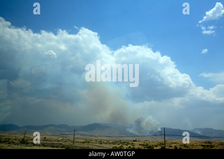 Federn aus mehrere kleine Feuer brennen nördlich von uns Interstate Highway 80 im östlichen Nevada zu rauchen. Stockfoto