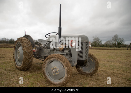 Massey Ferguson MF 35 FE35 Traktor 1955 (USA) 1956 (UK), wurde zu einem der beliebtesten Traktoren jemals veröffentlicht und ist heute noch im Einsatz Stockfoto