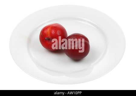 Pflaumen Stockfoto