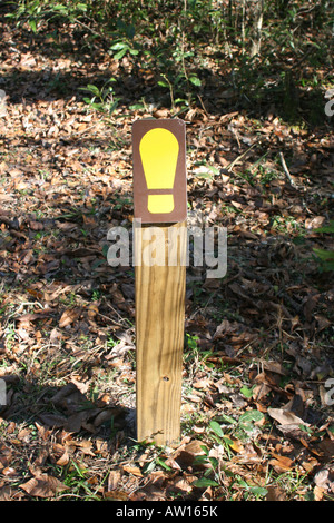 Walking Trail Markierung entlang des Weges der Hartriegel in The Fort Cooper State Park Inverness FL Stockfoto