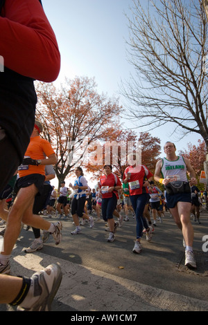 Niedrigen Winkel gedreht F4798 Francesca Clavarino Bianchi (38), 45639 Donna Sichta (47) & anderen 2006 ING New York City Marathon. JMH1890 Stockfoto