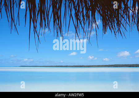 Blick auf das Meer unter einer Palme Stockfoto