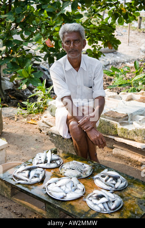 Mann, Verkauf von Fischen auf dem Bürgersteig, Fort Cochin, Cochin, Kerala, Indien Stockfoto