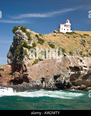 Leuchtturm, Taiaroa Head Halbinsel Otago, Neuseeland Stockfoto