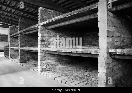 Ein full-Size-Modell der eine Holzhütte Schlafbereich in das ehemalige Konzentrationslager in Auschwitz-Birkenau, Polen. Stockfoto