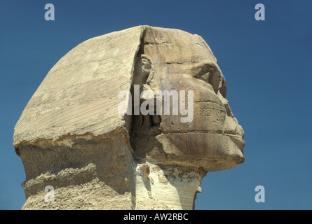 Porträt von Ägypten Sphinx von Gizeh Stockfoto