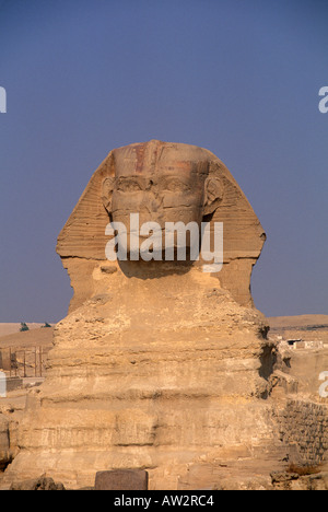 Ägypten-Sphinx von Gizeh Stockfoto
