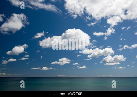 Strandszenen am Ontangi Strand, Waiheke Stockfoto