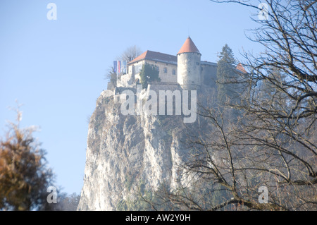 Burg von Bled, thront auf den Felsen über dem See von Bled, Slowenien, mit Bäumen im Vordergrund Stockfoto