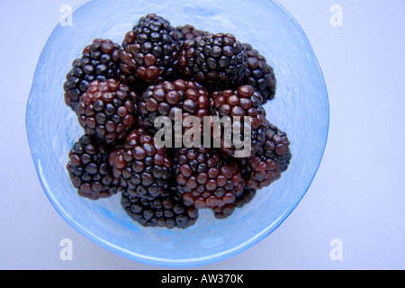 Brombeeren in blau Schüssel Stockfoto
