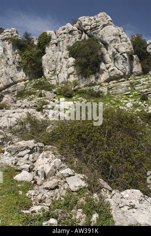 Rock in El Torcal Erhaltung Bereich, Spanien, Andalusien, Naturschutzgebiet El Torcal Stockfoto
