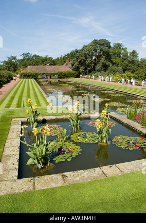 Die formale Seerosenteich im RHS Garden Wisley Stockfoto