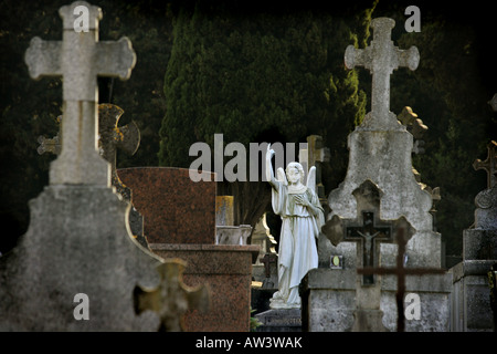 Grabsteine auf dem französischen Friedhof Stockfoto