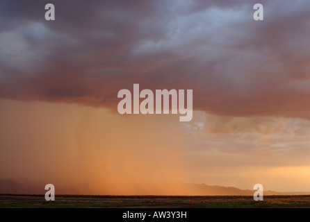 Ein schweres Gewitter fällt über Simbabwes Lake Kariba. Stockfoto